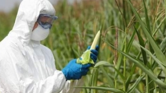 La Monsanto prepara un potente diserbante - greenme.it