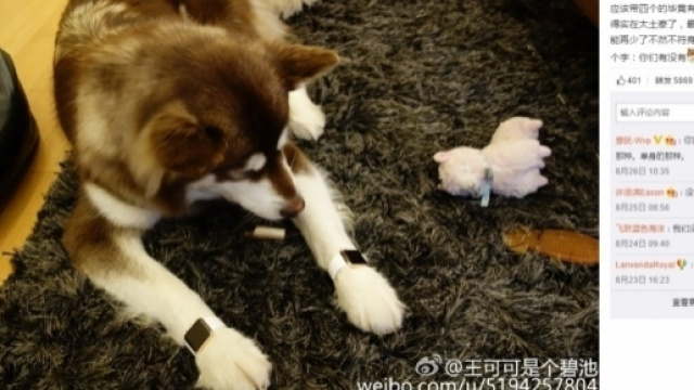 Son of Asia's richest man, China's 'No.1 eligible bachelor', talks ... - hongkongfp.com