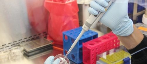 Dos nuevas vacunas contra el Sida