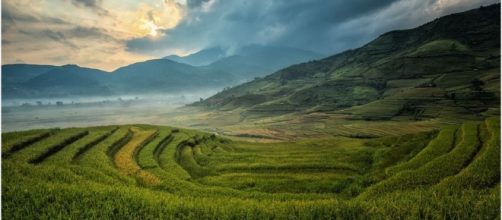 Farming in China / Photo no attrition CCO Public Domain Pixabay