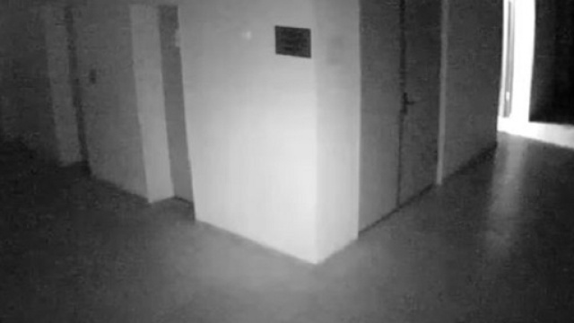 Immagine tratta dal The Mirror del fantasma
