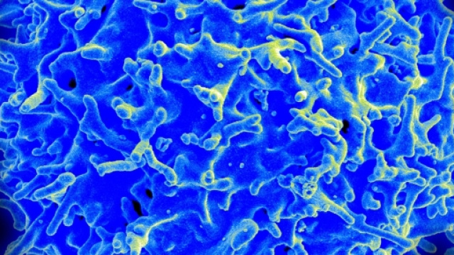 Cellule del sistema immunitario - fondazioneserono.org