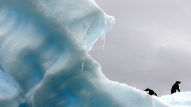 I cambiamenti climatici stravolgono gli ecosistemi planetari