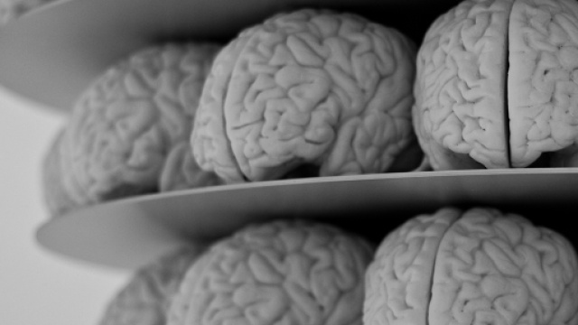 Nel 2016 sono stati compiuti altri importanti passi avanti dai neuroscienziati