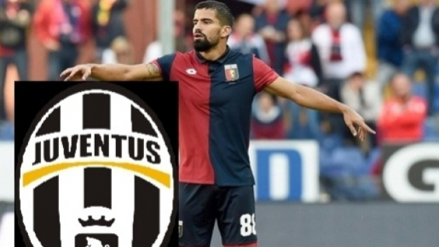 Calciomercato Juventus: accordo trovato per l'acquisto di Tom&agrave;s Rincon dal Genoa