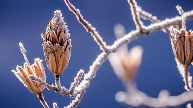 Previsioni del tempo per il mese di gennaio