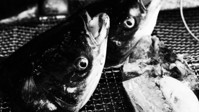 Cityscapes (10 of 20) @Danilo De Rossi