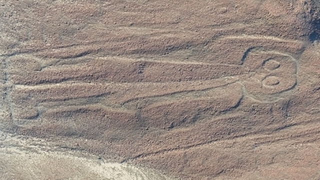 Immagine estratta da un articolo del Daily Mail