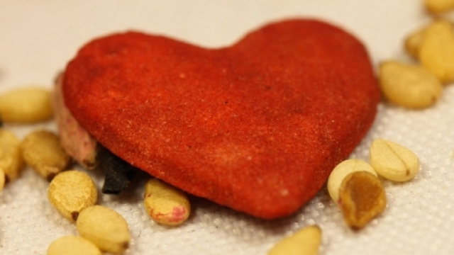 L'avventura terrena di Nicole &egrave; terminata all'et&agrave; di soli 6 anni