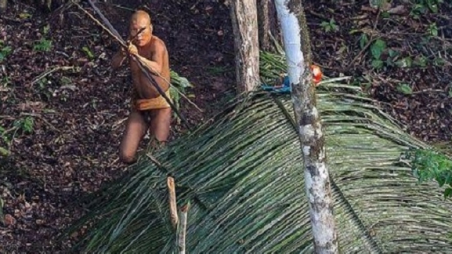 Una immagine scattata dal fotografo Ricardo Stuckert. - Da Greenme.it