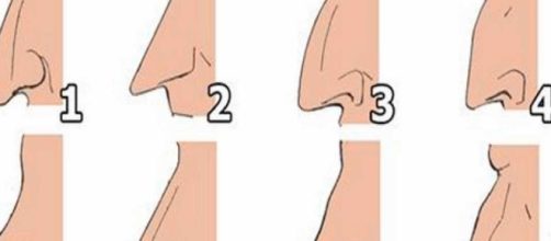 O formato do seu nariz pode revelar muito sobre a sua personalidade