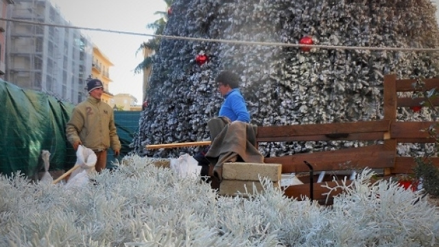 Allestimento dell'albero ambientalistico