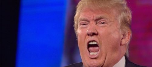 Donald Trump [Insert Ridiculous Thing He Hopefully Hasn't Already ... - robotbutt.com