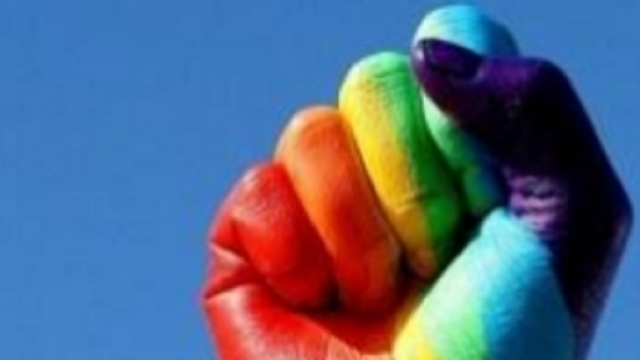L'arcobaleno &egrave; il simbolo delle organizzazioni LGBT.