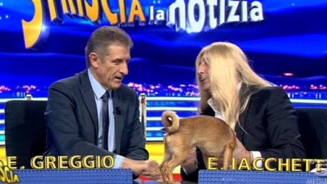 Striscia la notizia 2015 | Enzo Iacchetti ritorno | Recensione e foto - tvblog.it