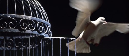 La ilusi&oacute;n de la libertad como un consuelo de la consciencia.