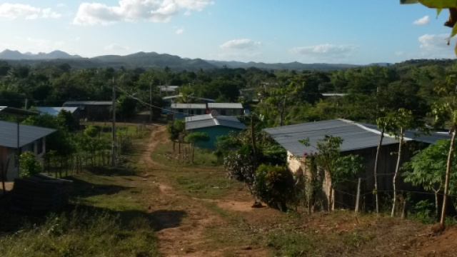 Virus Zika: zone a rischio epidemia