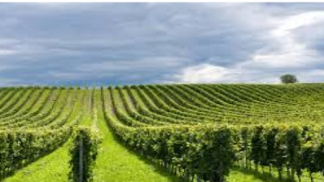 Disoccupazione agricola 2016, la guida