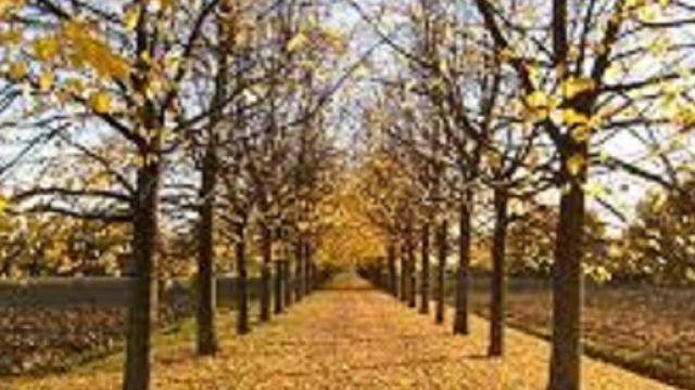 Le facolt&agrave; cerebrali variano in base alle stagioni