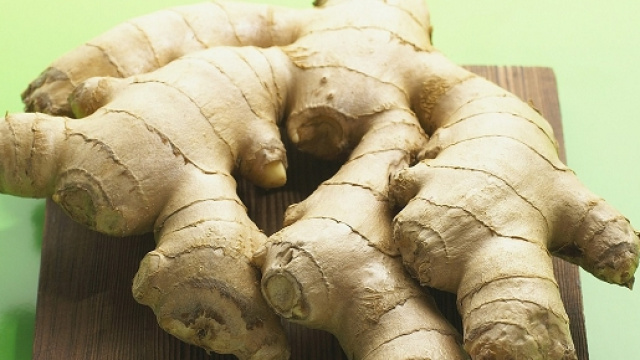 Radice di zenzero fresco intera.
