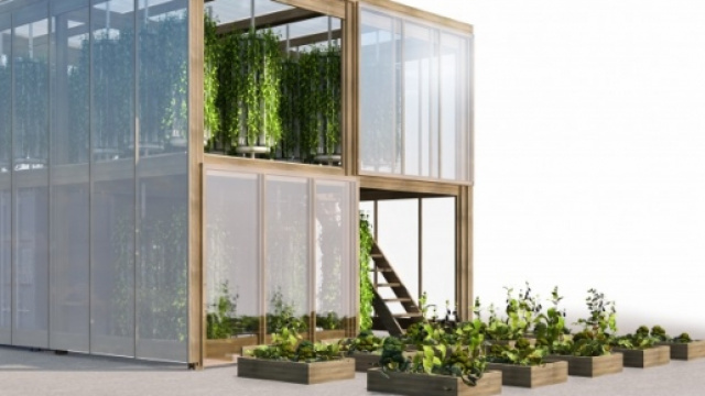 Un modello di The impact farm.