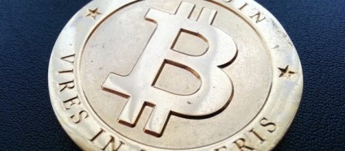 Bitcoin popularity continues to rise