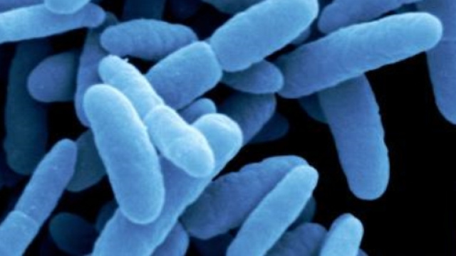 Antibiotico-resistenza, una vera emergenza.