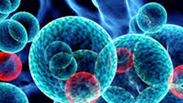 Una scoperta rivoluzionaria per la leucemia