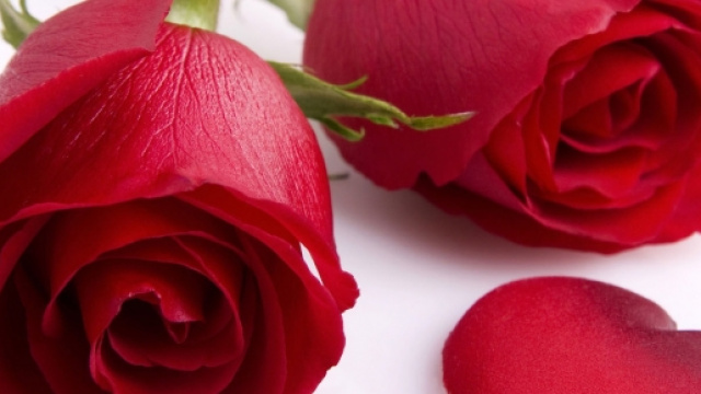 Frasi auguri San Valentino: frasi originali