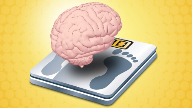 La sedentariet&agrave; porta a un cervello pi&ugrave; piccolo
