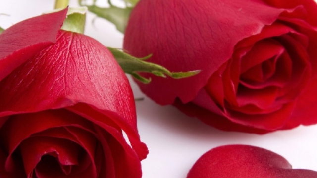 San Valentino 2016, immagini da Youtube