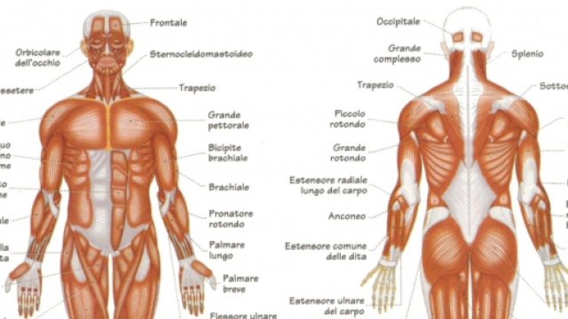Biologia, studiarla bene per il test &egrave; consigliato