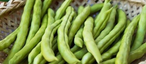 Conhe&ccedil;a os benef&iacute;cios da vagem