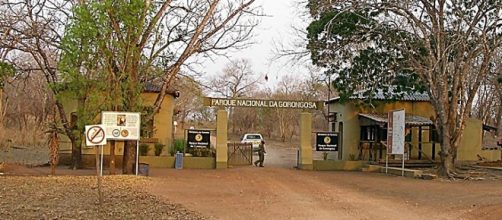 Gorongosa. Image by Brian Dell. Wikimedia