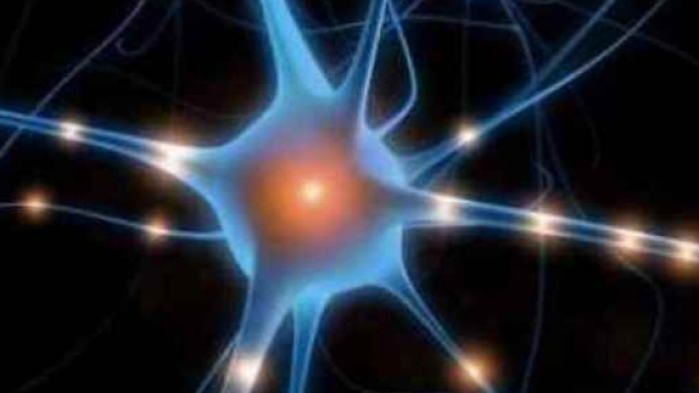 Alzheimer, scoperte le neurostatine.