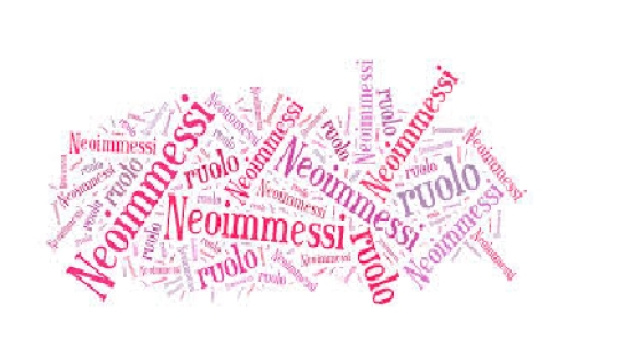 Bilancio delle competenze per docenti neo assunti