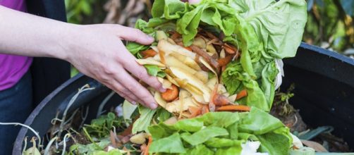 Ley contra el desperdicio alimentario, Francia
