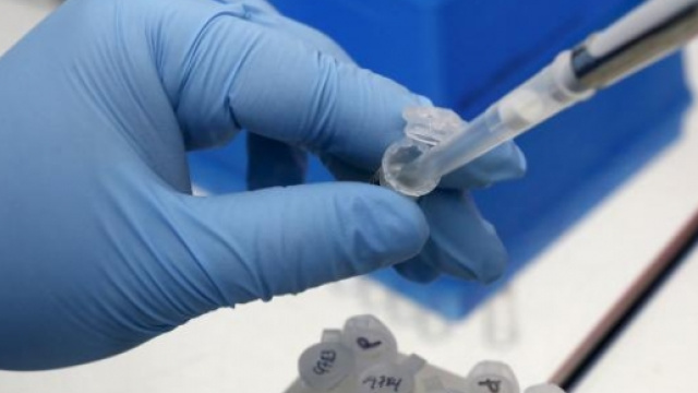 Continuano i test medici sul virus Zika