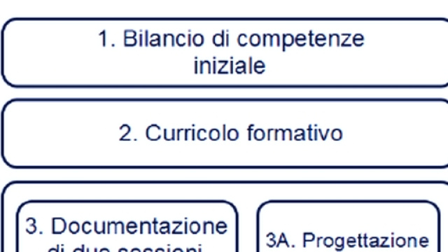 Il curriculum professionale docenti neo assunti