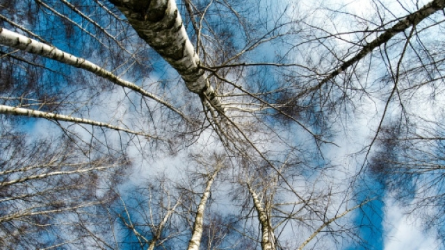 Prime tendenze meteo per marzo