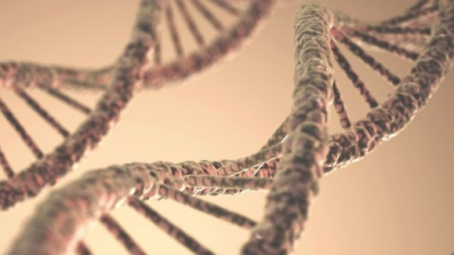 immagine La Repubblica. DNA Scoperte.