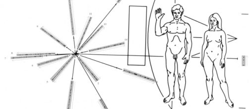 Dibujo incluido en la sonda "Pioneer 10"