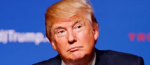 Donald Trump (Credit Micahel Vadon Wikimedia)