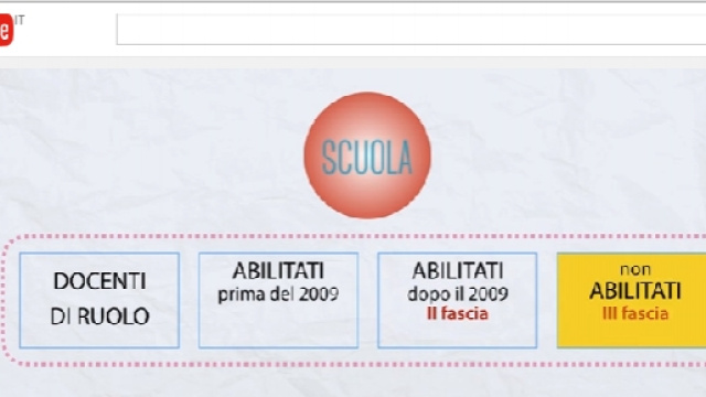La suddivisione delle categorie di docenti