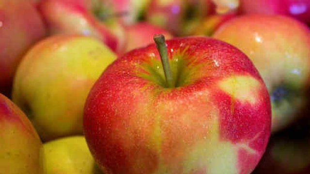 La mela e le sue propriet&agrave; nutritive