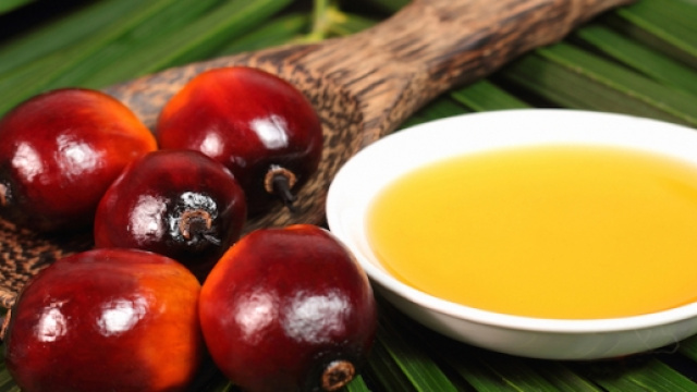 La scienza dice che l'olio di palma non &egrave; tossico