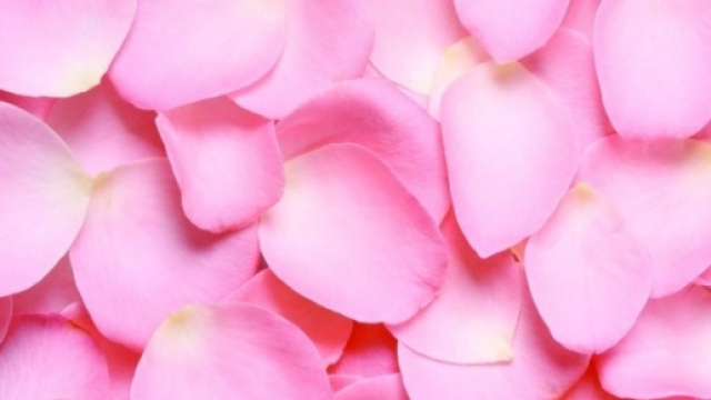 Il petaloso mondo di Matteo Trov&ograve;