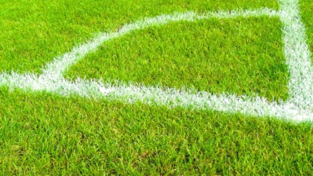 Pronostici Serie B 28esima giornata