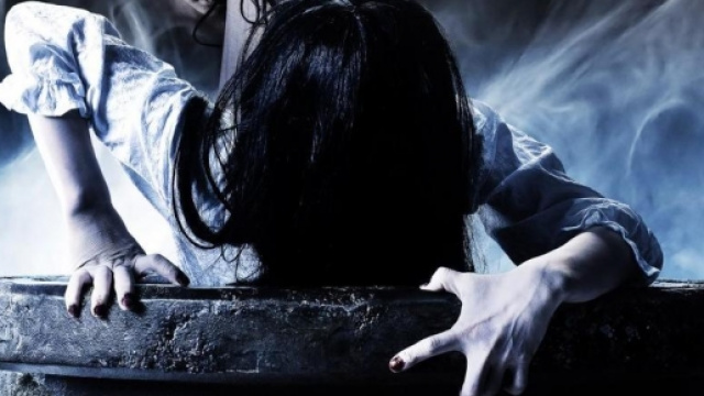 The Ring vs The Grudge, il film