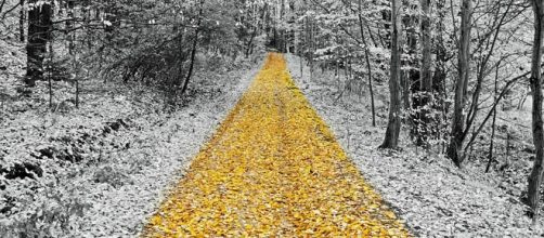 Looking for your passion to lead you to success?